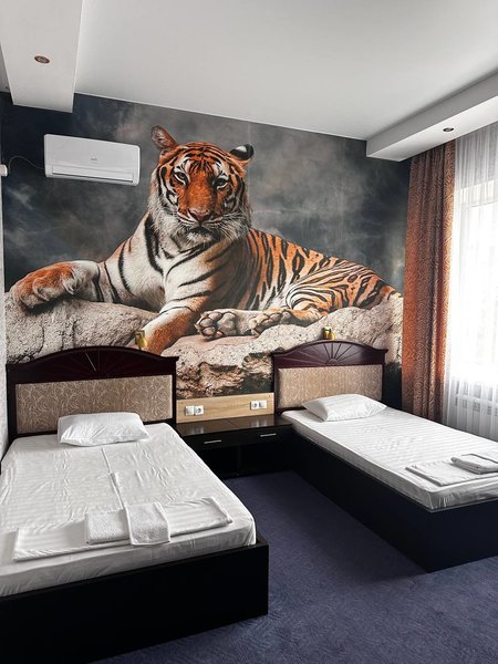 Полулюкс с двумя кроватями