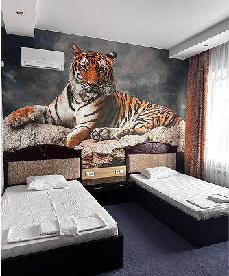 Полулюкс с двумя кроватями